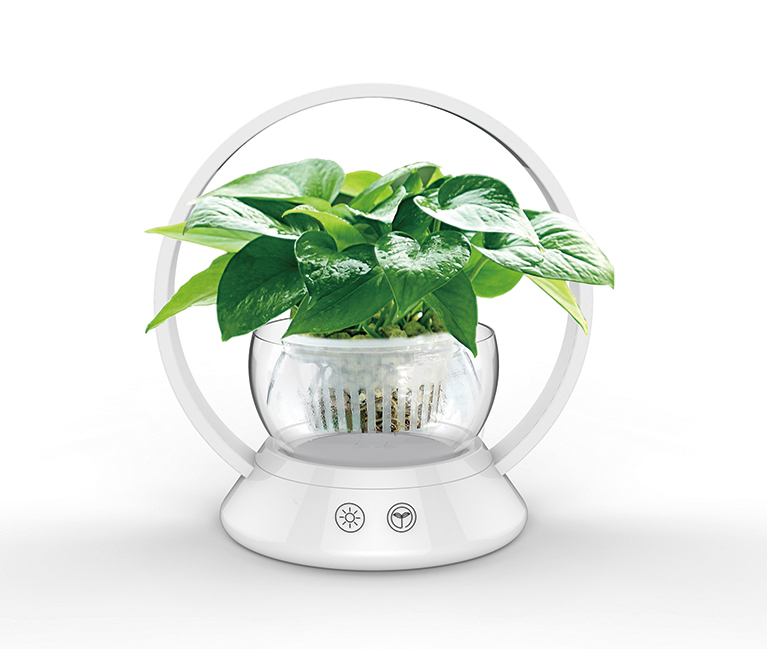 顕花植物および屋内植物用LED成長ライト
