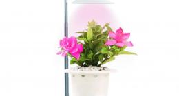 LED 植物生长灯-Alfa