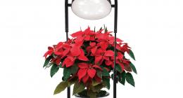 LED 植物生长灯-Cage